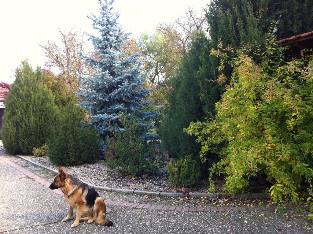 La Alberca Villa Palencia Dış mekan fotoğraf